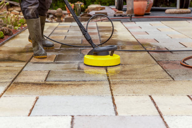 Best Animal Enclosure Cleaning  in Fort Belvoir, VA